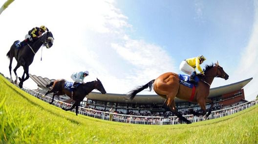 Champion Boy leads home Our Nana Rose and Vivien Lee 
