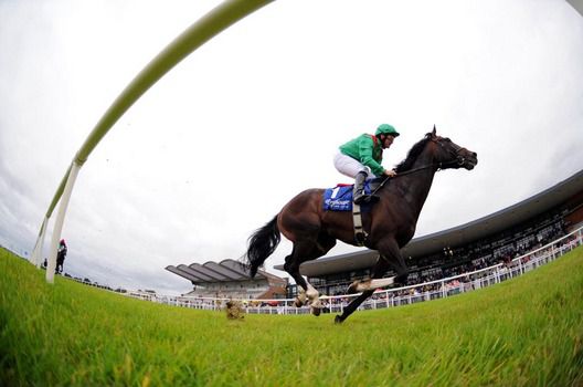 Alandi runs out an easy winner 