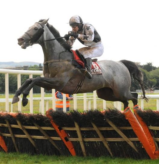 Windix and Lenny Flynn clear the last on their way to victory.