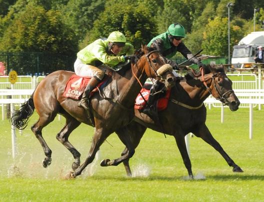 Miss Mary Mac (inside) just gets the better of Oilily in a driving finish to the last at Cork.