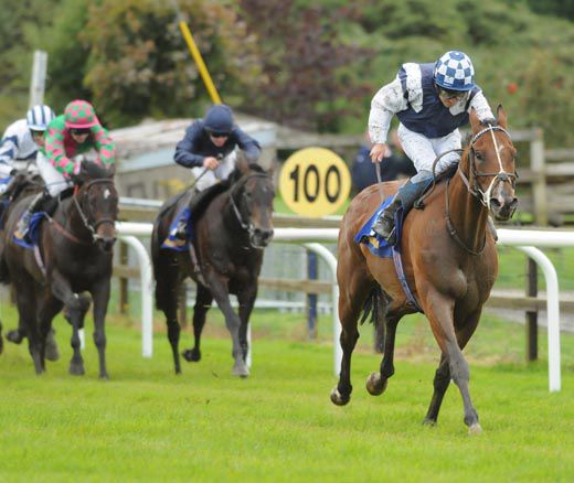 Niall McCullagh and Peculiar Prince win from trainer Liam McAteer