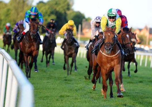 Captains Dilemma and Willie Supple winning for trainer Paul Deegan 