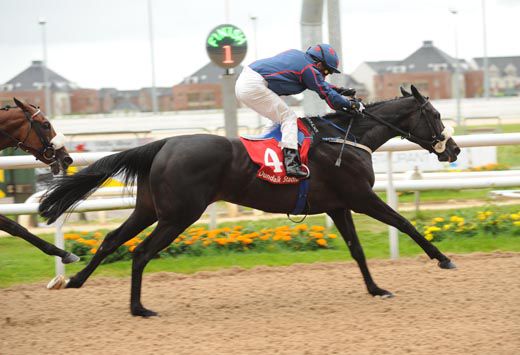 Isabellareine wins under Danny Grant