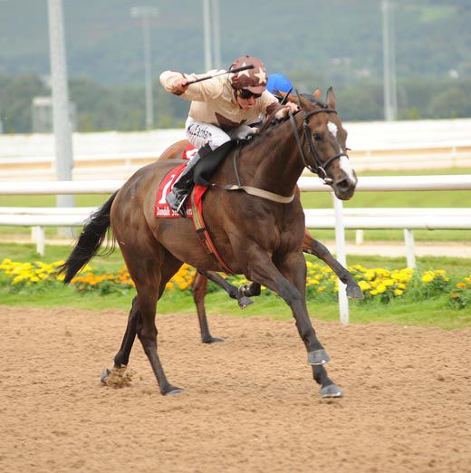 Daytime Dreamer wins under Keagan Latham