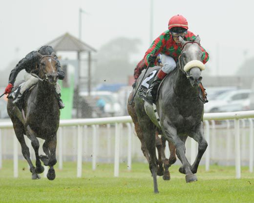 Arctic winning at the Curragh last month