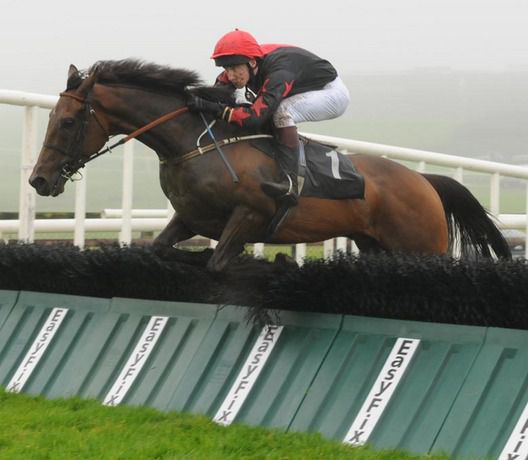 King Ali and Tony Kelly winning at Galway last year
