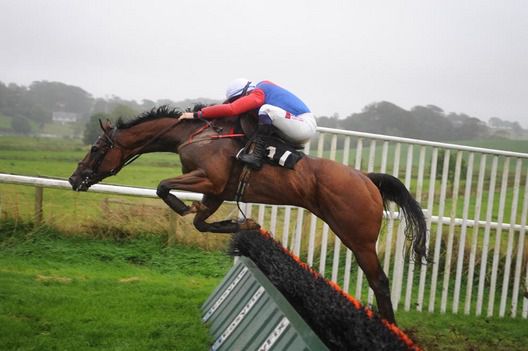 Aladdins Cave and Sean Flanagan jumping the last 