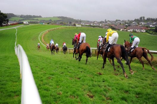 Runners race down the hill in The Heart Of Down Ulster Cesrewitch won by Regal Obligation and Pauline Ryan 