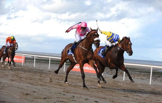 Watch This and Pat Shanahan left wins from The Mouse Carroll for trainer Sheena Collins 