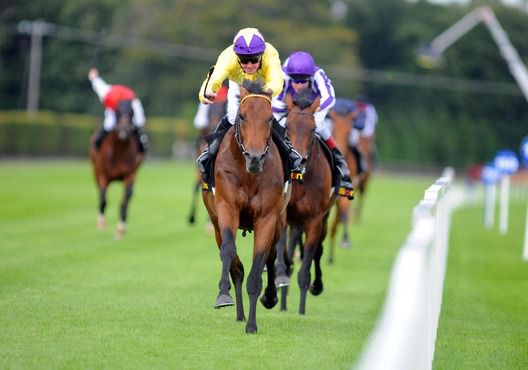 Sea The Stars leads his rivals home