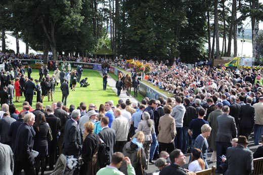 Leopardstown Parade Ring