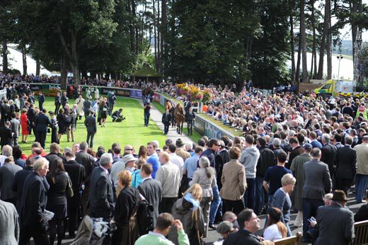 Racing needs Racegoers