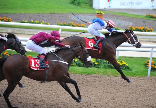 Forbidden City and Chris Hayes wins from Sampers for trainer Jimmy Coogan