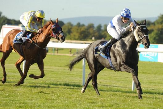 Gra Geal Mo Chroi seen winning here at Tipperary