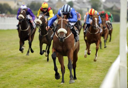 MUJAAZEF, Topaz Mile favourite