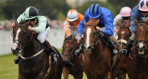 A determined Celtic Soprano (left) denies Le Leopard and Monahullan Prince.