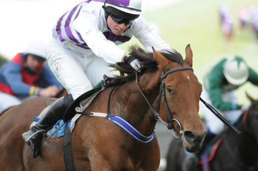 A Hit Is A Hit wins under Andy Duff