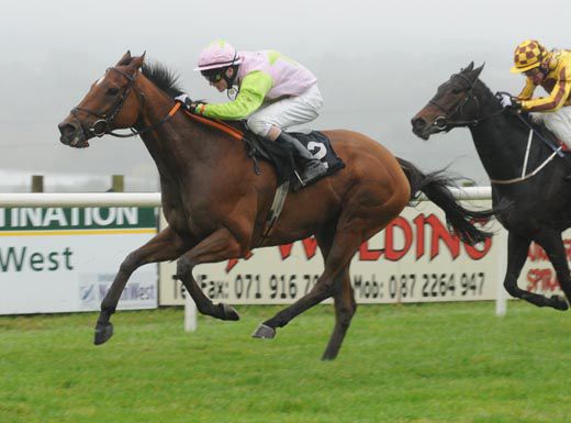 Fast Lightning and Danny Mullins win for trainer Regina Bonner