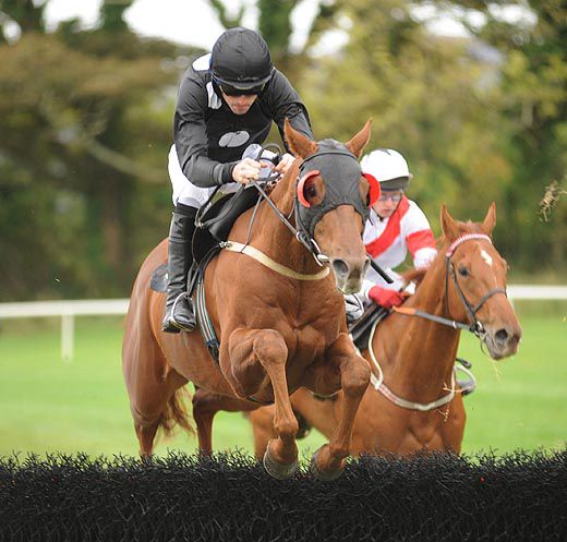 Ruby Walsh and Chew It Over win for Lesley Young