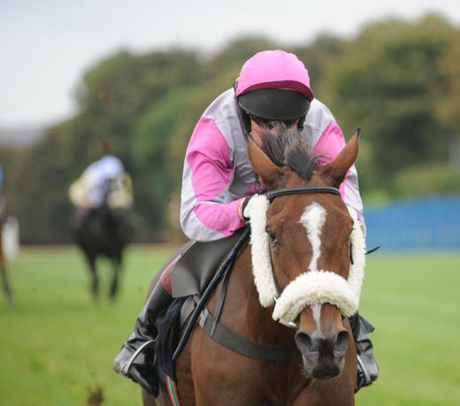 Robbie Dunne and Greengables