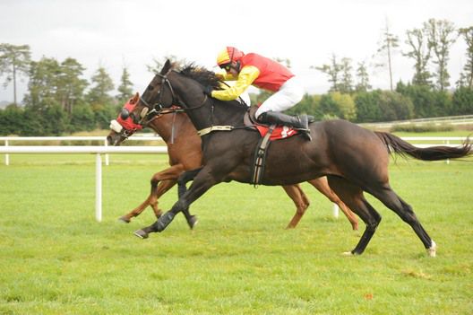 Bachelor Affair wins under Tommy Treacy