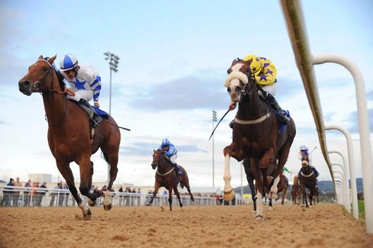 Stay ahead of the posse with Active Cards