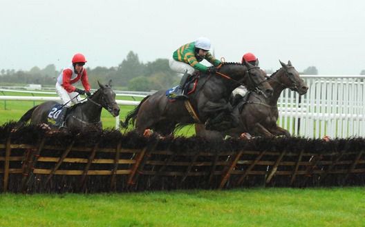 Sweeps Hill and David Casey (left) clears the last with Jowango to win for trainer John Kiely 