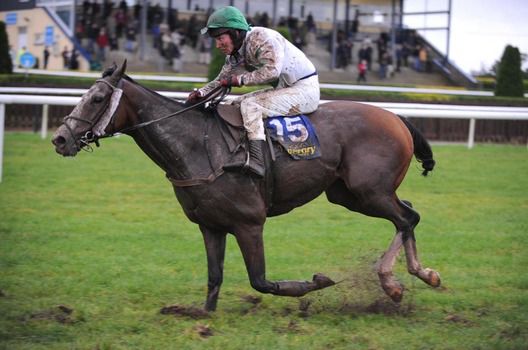Florimund and Mikey Butler splash their way to win for trainer Michael Butler 