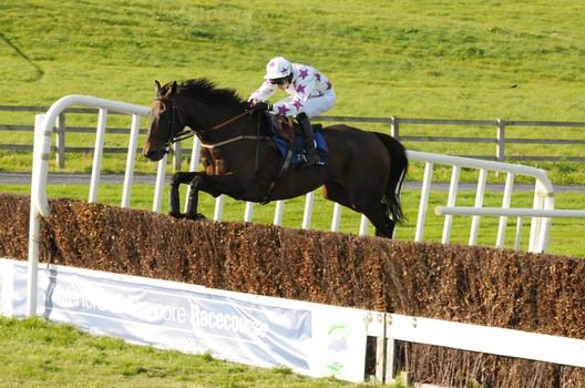 Hatton's Wood pings the final fence