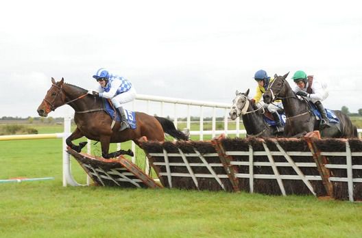 Whos To Know jumps the final flight under Mark Scallan