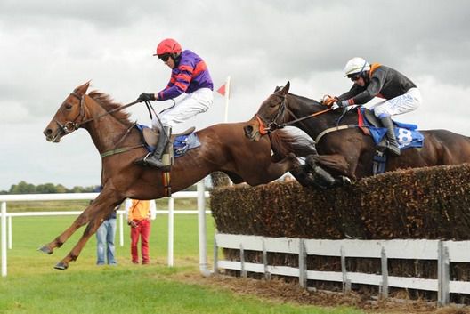 Aeval (eventual fourth) jumps the final fence ahead of Here Comes Sally (Alain Cawley)
