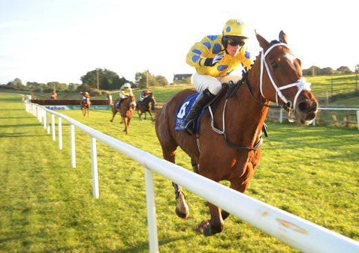 Let Yourself Go is heading for Fairyhouse   and Punchestown