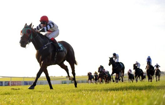 Kilmannin and Daryl Byrne win in good style for trainer Harry Rogers