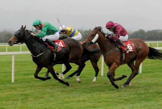 Alaiyma scores under Mick Kinane