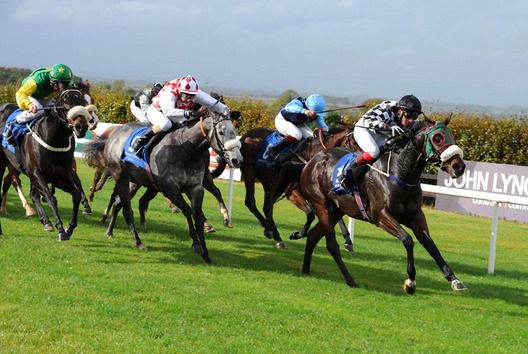 Gandolfini and Daryl Byrne wins from Airspace and Dotada for trainer Harry Rogers 