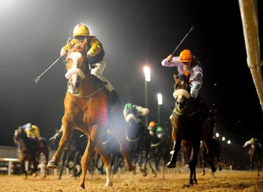 Across The Rhine and Pat Shanahan winning from Tarrsille for trainer Tracey Collins 