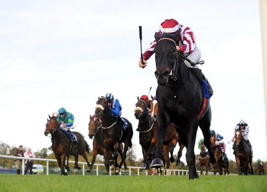What A Charm wins at Leopardstown