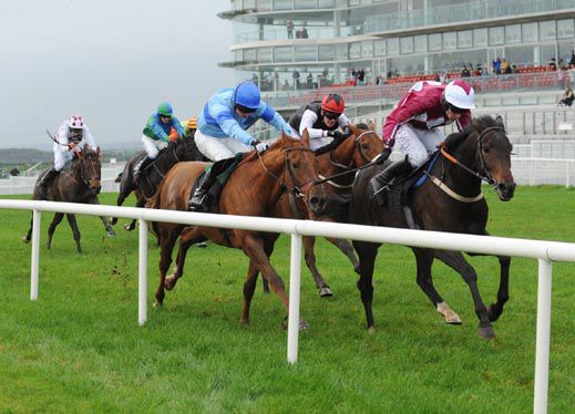 Lucky At Last prevails from Torphichen & Natural High