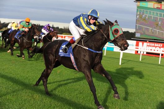 Mid Mon Lady wins under Daryl Byrne