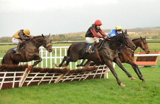 Montana Slim (nearside) jumps the final flight at Naas