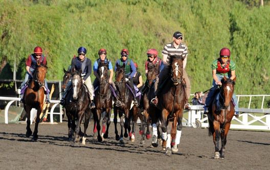Aidan O'Brien leading his team with Rip Van Winkle (right) and Mastercraftsman (2nd left) 