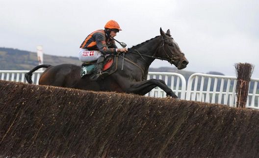 Sam Twiston-Davies picks up 12 day ban