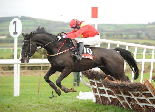 Stephen Gray and Steviemac negotiate the last