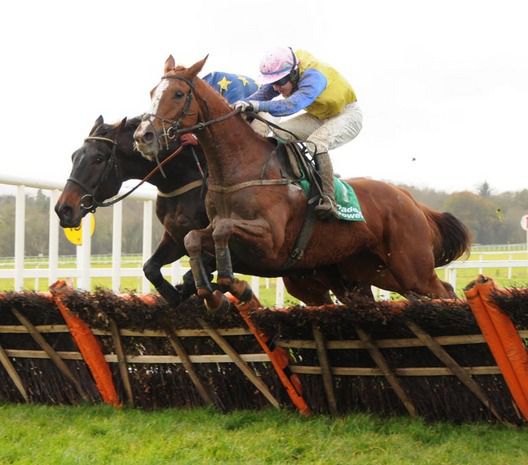 American Job (near side) gets the better of Skorcher