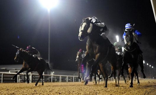 Settigano (cheekpieces) gets home in front