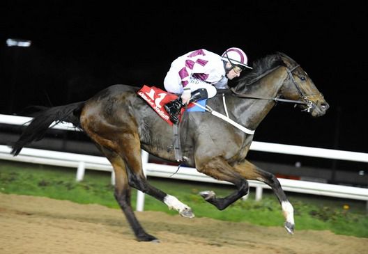 Gwens Spirit wins under Declan McDonogh 