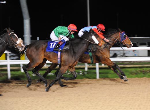 Desert Ben gets up from Faynita 