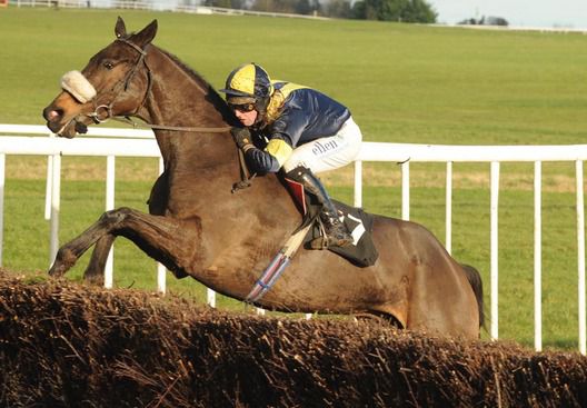Regal Rumpus, and Niall Madden clear, the last to win for trainer Arthur Moore 