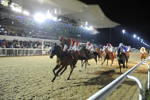 Six Of Hearts leads them home