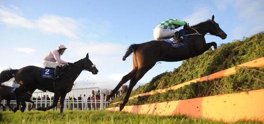 Cara Mara clears the last from Inistioge